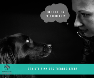 Hundephysiotherapie Dresden.png